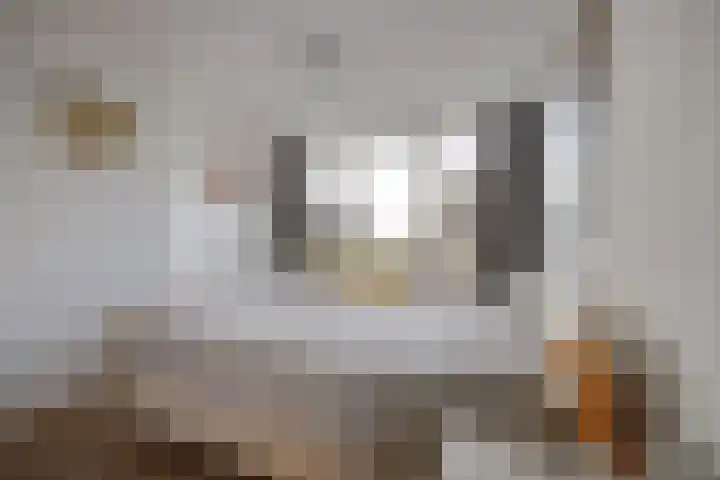 Zoutlaan 96 Oudenbosch thumbnail 19
