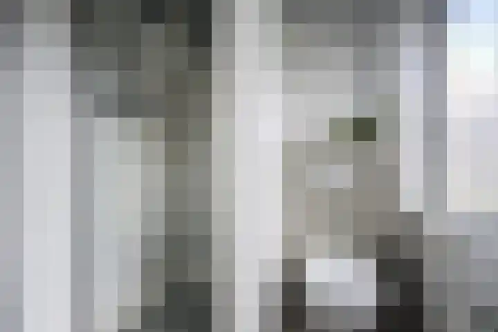 Zoutlaan 96 Oudenbosch thumbnail 25