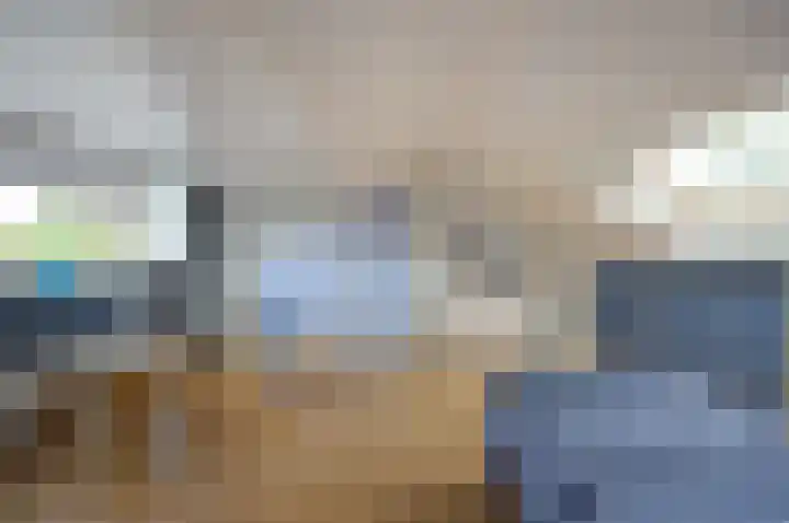 Zoutlaan 96 Oudenbosch thumbnail 30
