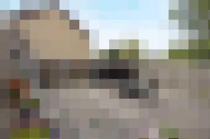 Zoutlaan 96 Oudenbosch thumbnail 32