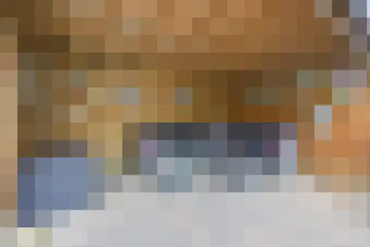 Zoutlaan 96 Oudenbosch thumbnail 33