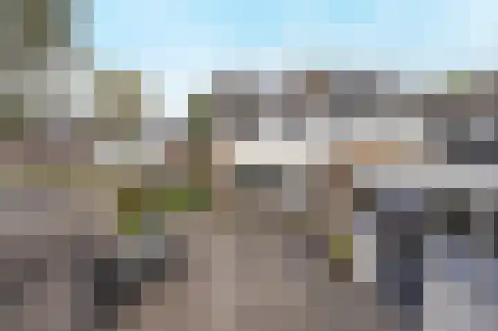 Zoutlaan 96 Oudenbosch thumbnail 35