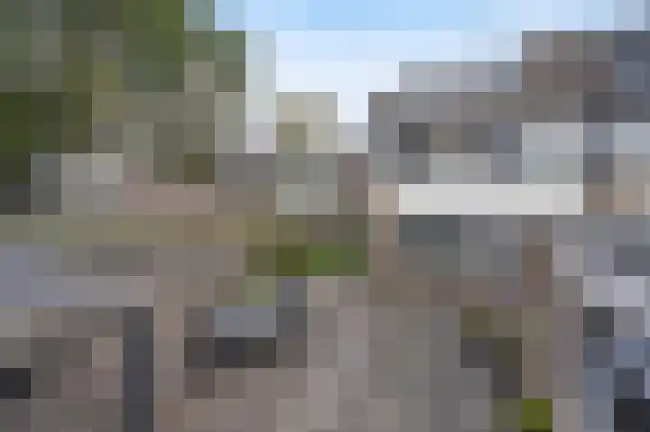 Zoutlaan 96 Oudenbosch thumbnail 36