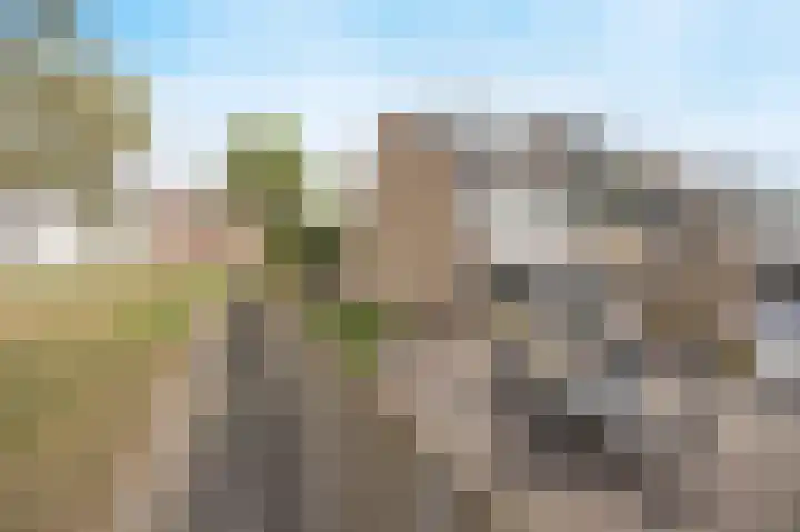 Zoutlaan 96 Oudenbosch thumbnail 37