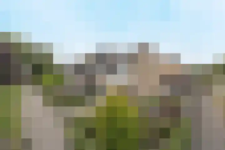 Zoutlaan 96 Oudenbosch thumbnail 38
