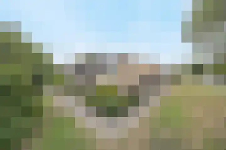 Zoutlaan 96 Oudenbosch thumbnail 39