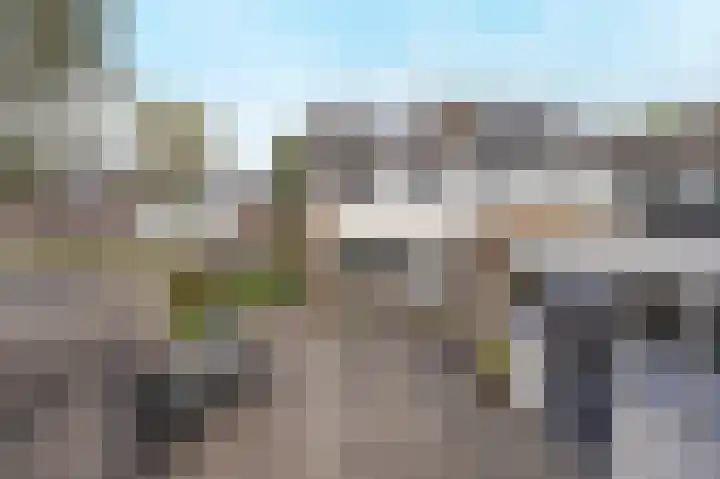 Zoutlaan 96 Oudenbosch thumbnail 4