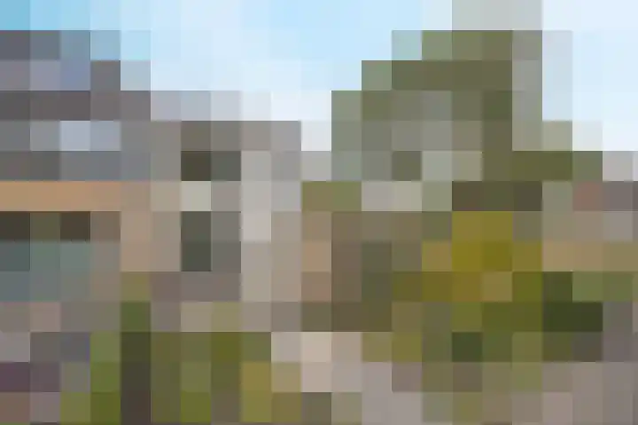 Zoutlaan 96 Oudenbosch thumbnail 5