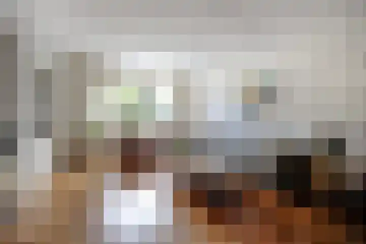 Zoutlaan 96 Oudenbosch thumbnail 7