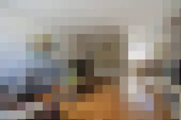 Zoutlaan 96 Oudenbosch thumbnail 8