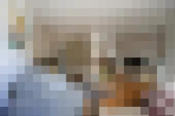 Zoutlaan 96 Oudenbosch thumbnail 9