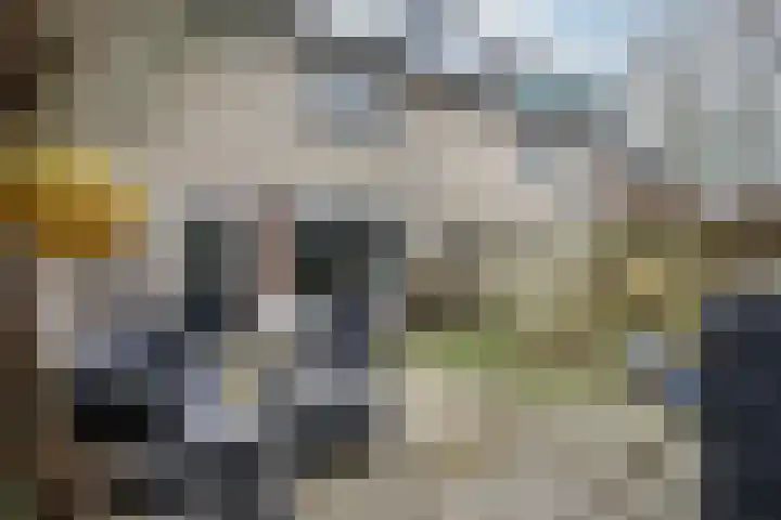Zoutmanlaan 21 Baarn thumbnail 34