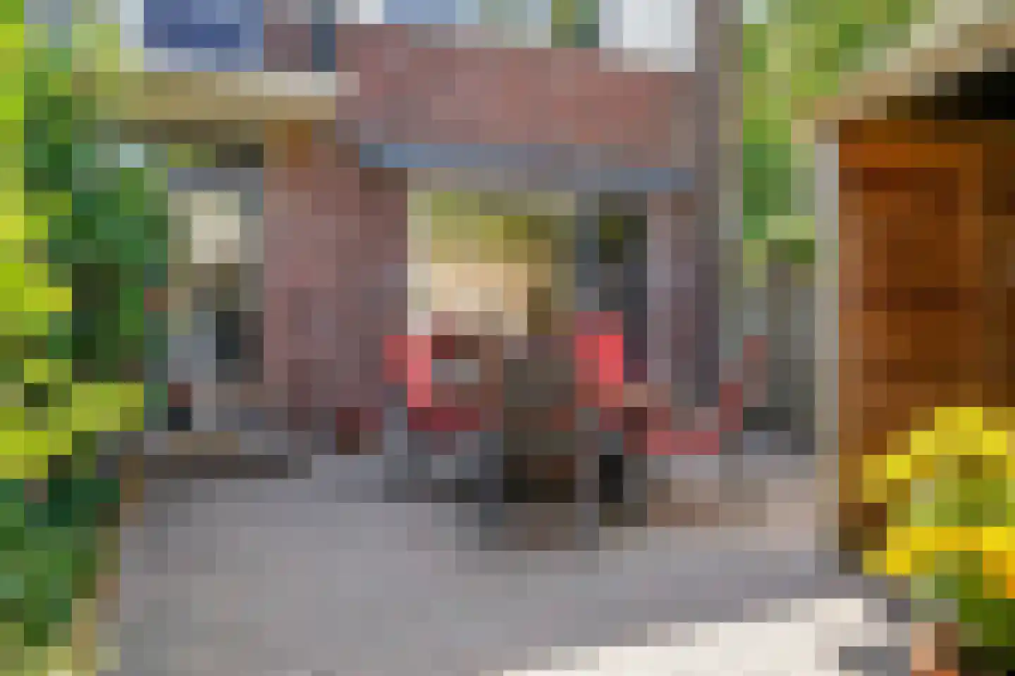 Zoutmanlaan 32 Castricum thumbnail 39