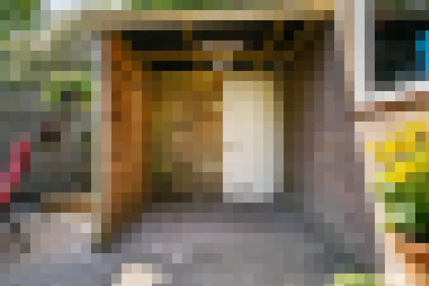 Zoutmanlaan 32 Castricum thumbnail 43