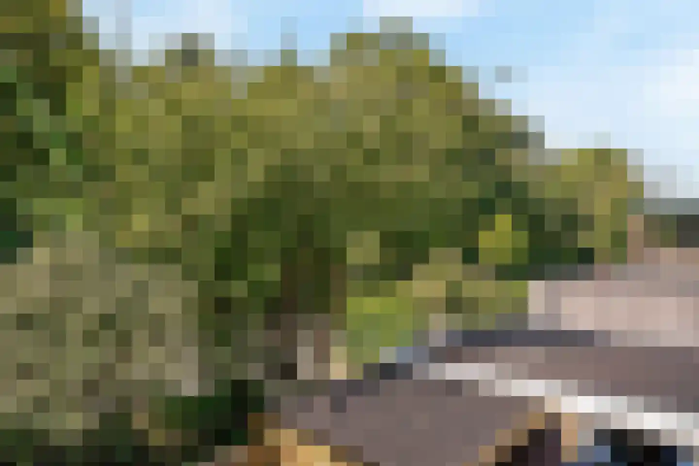 Zoutmanlaan 32 Castricum thumbnail 44