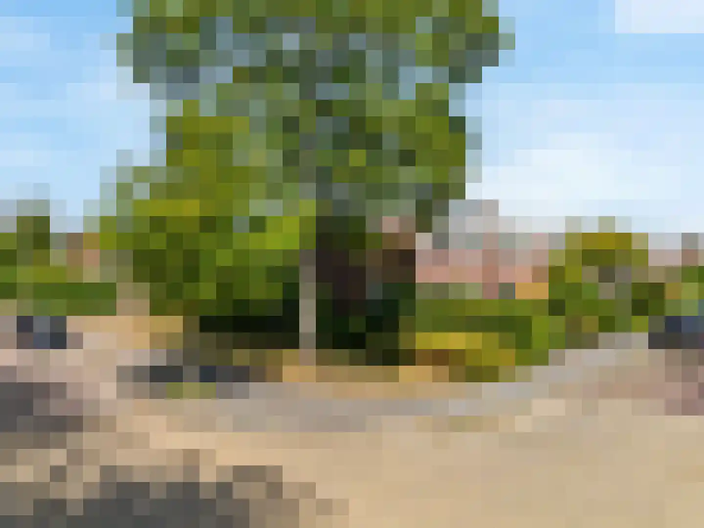 Zoutmanlaan 32 Castricum thumbnail 53