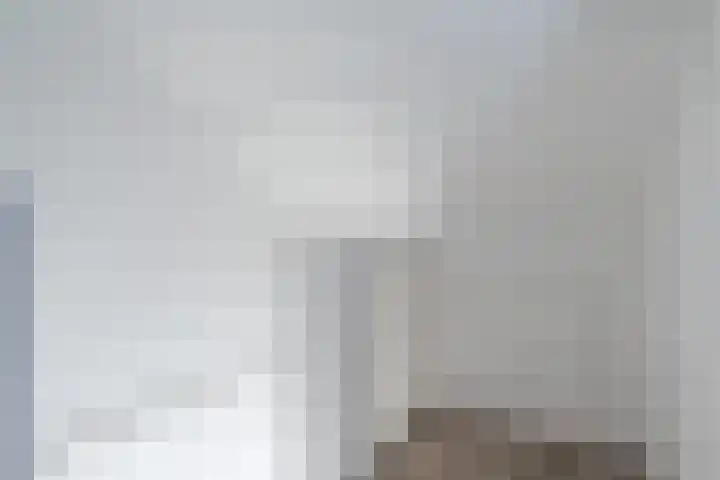 Zoutmanstraat 1 Veghel thumbnail 21