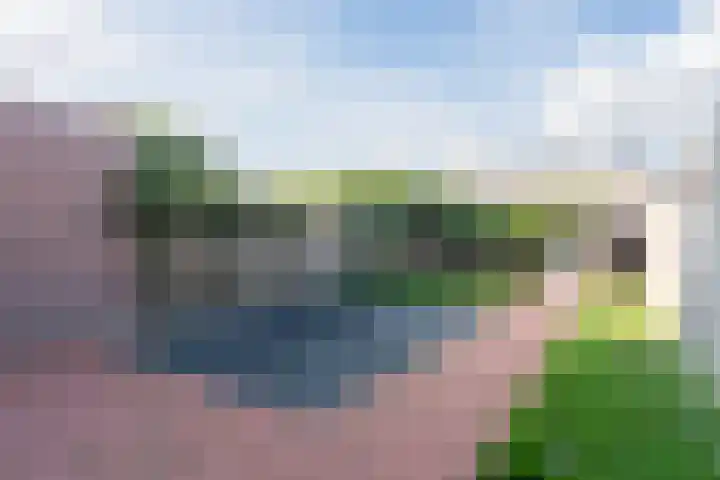 Zoutmanstraat 1 Veghel thumbnail 25