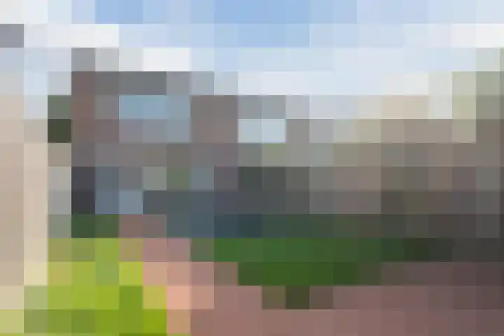 Zoutmanstraat 1 Veghel thumbnail 27