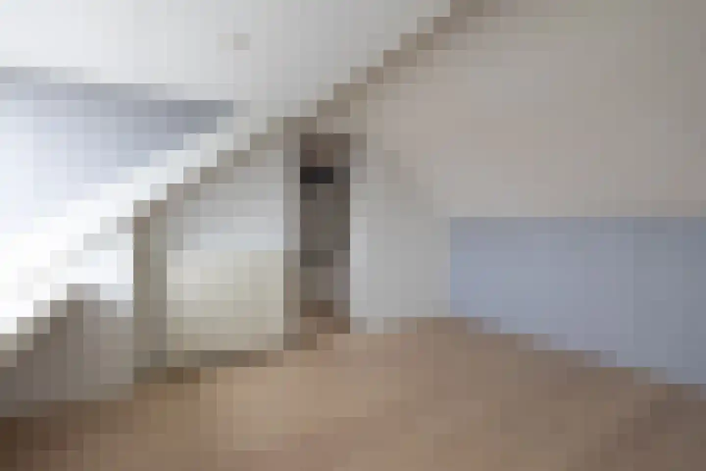 Zoutmanstraat 10 Bleiswijk thumbnail 22