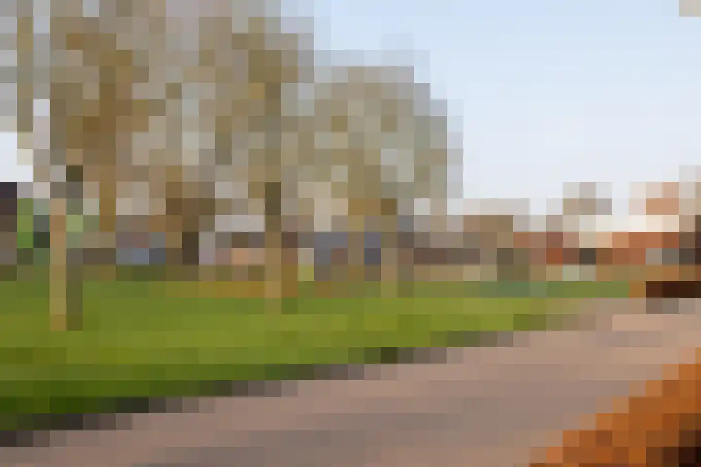 Zoutmanstraat 10 Bleiswijk thumbnail 5
