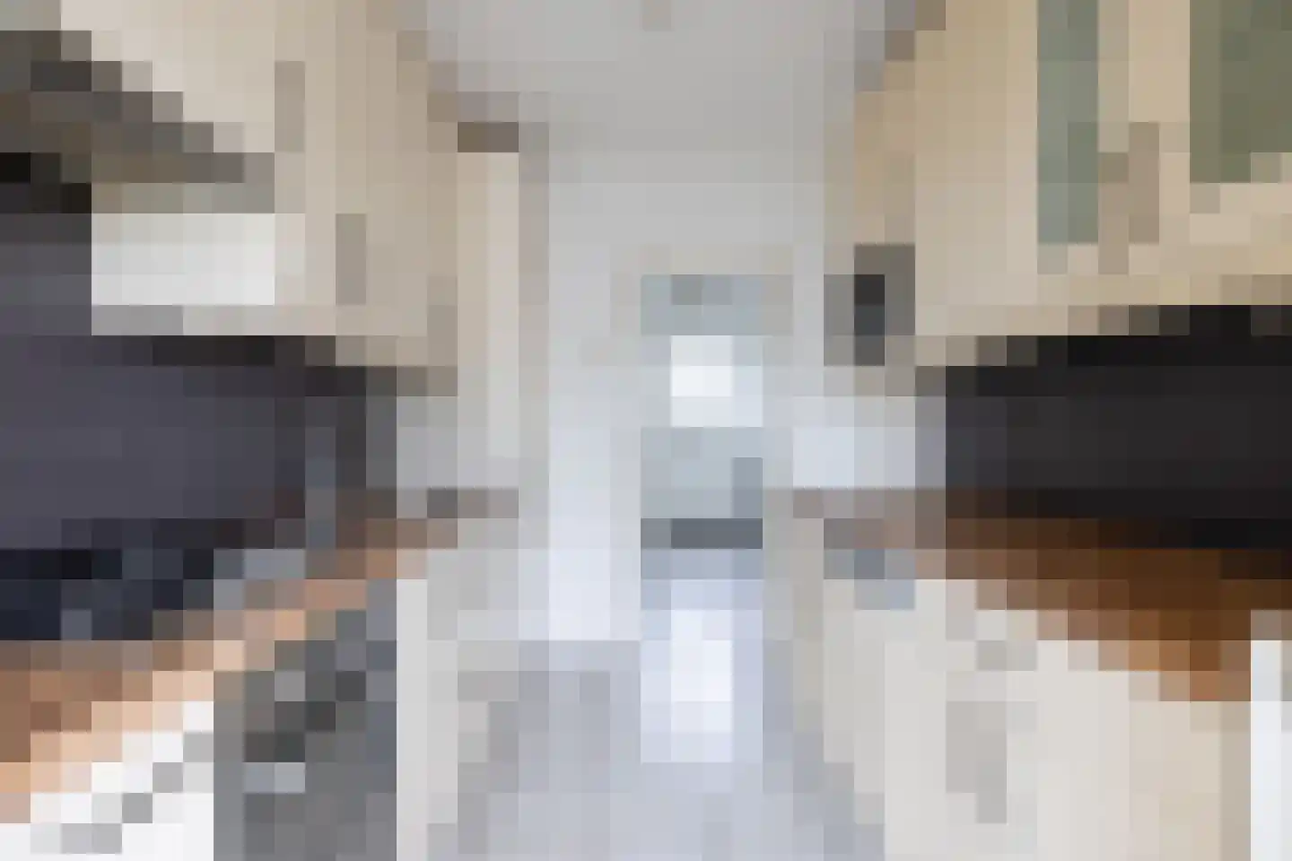 Zoutmanstraat 10 Bleiswijk thumbnail 8