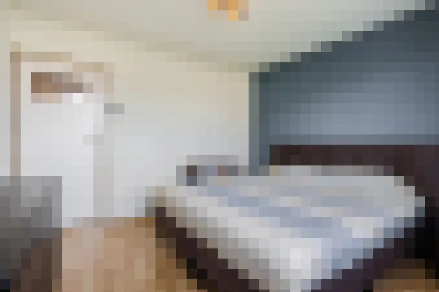 Zoutmanstraat 10 Veghel thumbnail 21