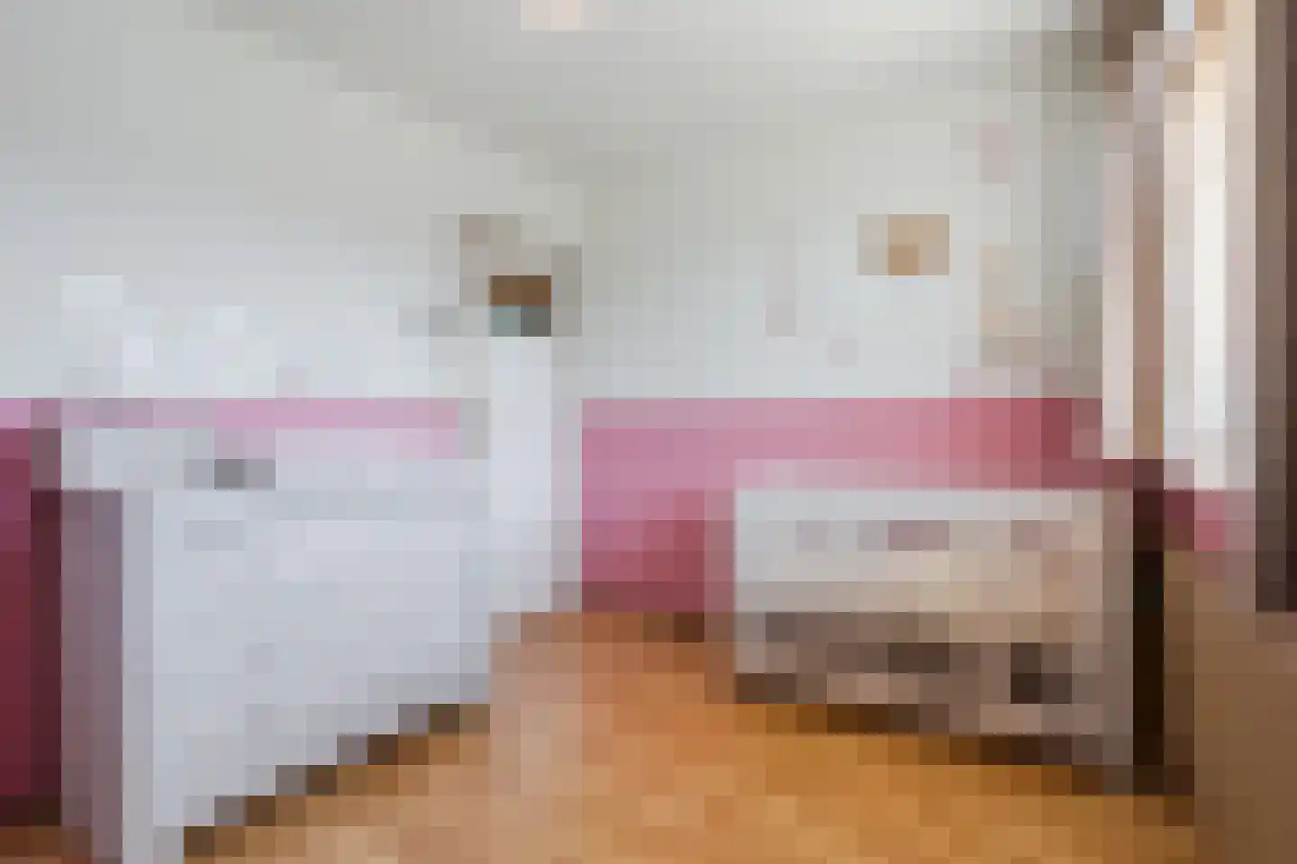 Zoutmanstraat 10 Veghel thumbnail 23