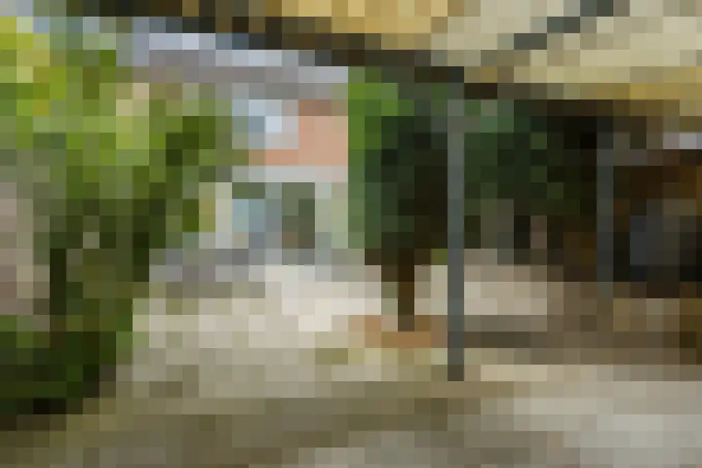 Zoutmanstraat 10 Veghel thumbnail 37