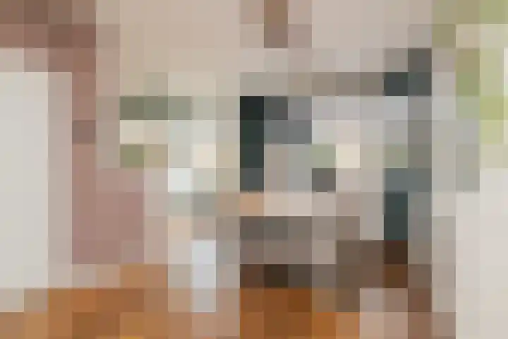 Zoutmanstraat 11 Maasdijk thumbnail 10