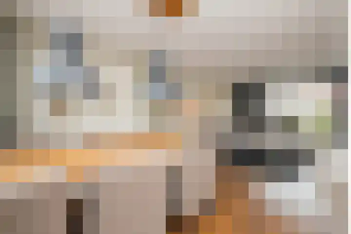 Zoutmanstraat 11 Maasdijk thumbnail 11
