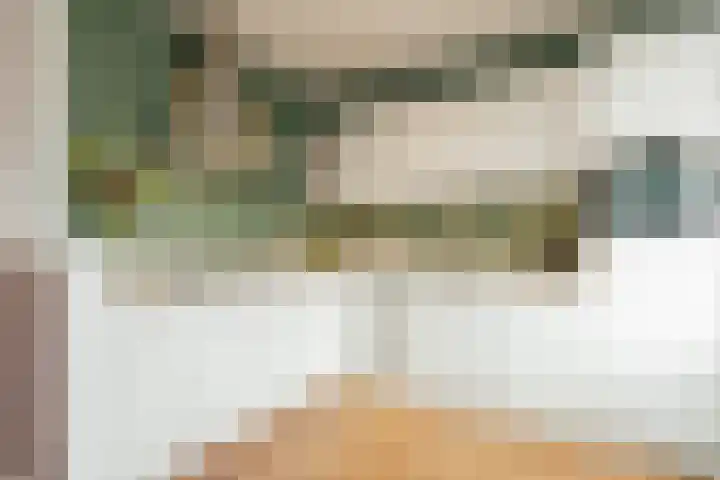 Zoutmanstraat 11 Maasdijk thumbnail 13