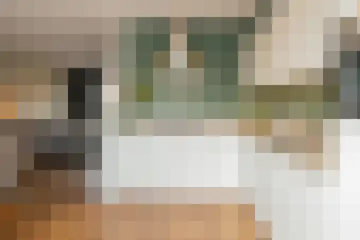 Zoutmanstraat 11 Maasdijk thumbnail 14