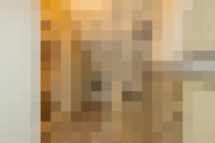 Zoutmanstraat 11 Maasdijk thumbnail 29