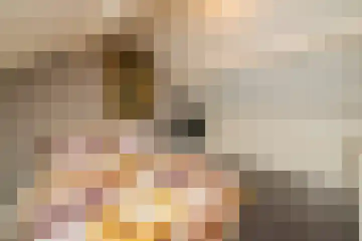 Zoutmanstraat 11 Maasdijk thumbnail 31