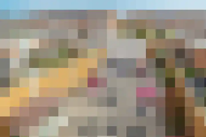 Zoutmanstraat 11 Maasdijk thumbnail 33