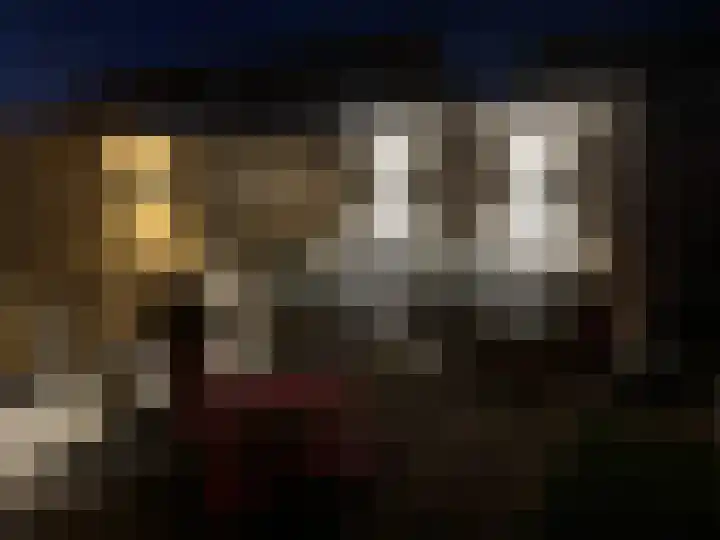 Zoutmanstraat 11 Maasdijk thumbnail 39
