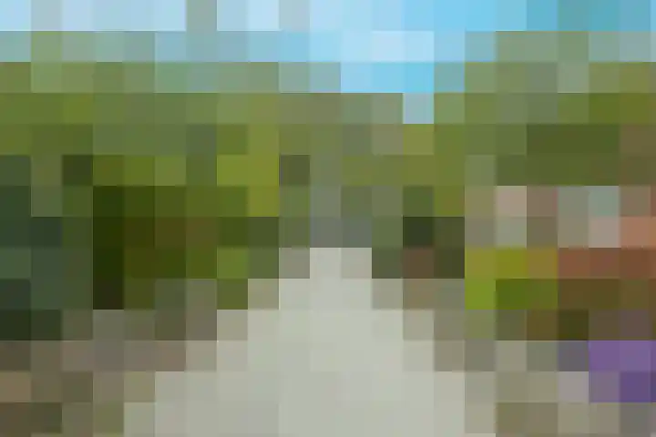 Zoutmanstraat 11 Maasdijk thumbnail 40