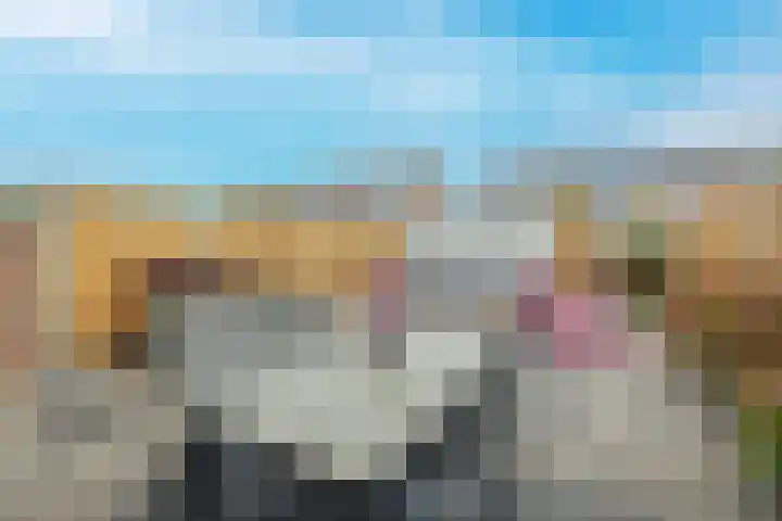 Zoutmanstraat 11 Maasdijk thumbnail 5