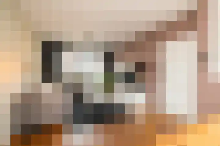 Zoutmanstraat 11 Maasdijk thumbnail 7