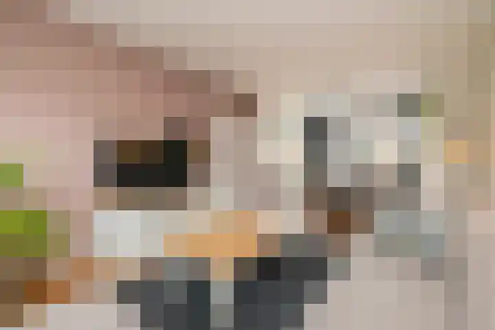 Zoutmanstraat 11 Maasdijk thumbnail 8