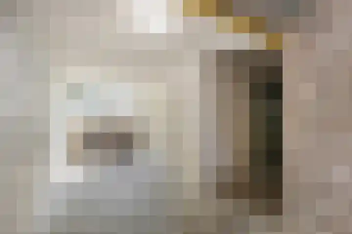 Zoutmanstraat 12 Dordrecht thumbnail 26