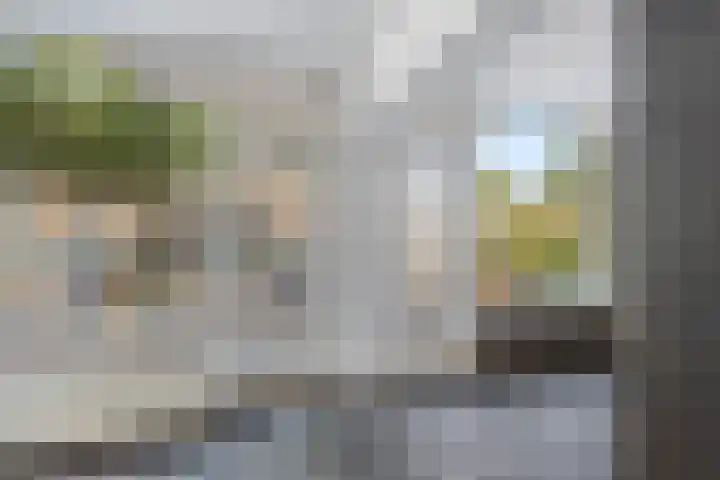 Zoutmanstraat 12 Dordrecht thumbnail 9