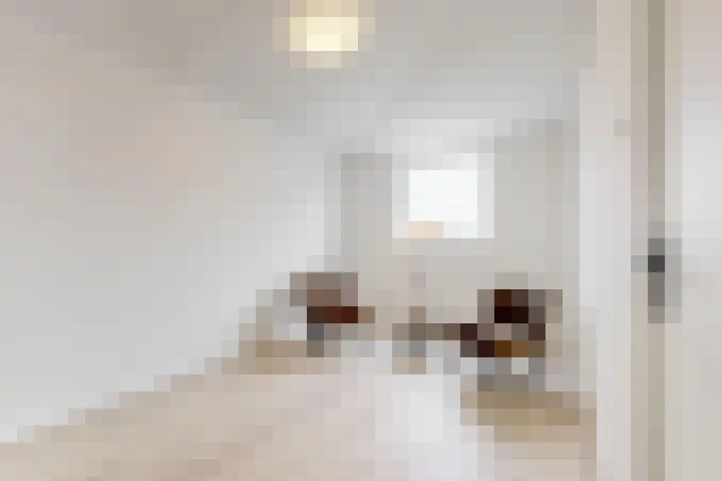 Zoutmanstraat 20 B Den Haag thumbnail 19