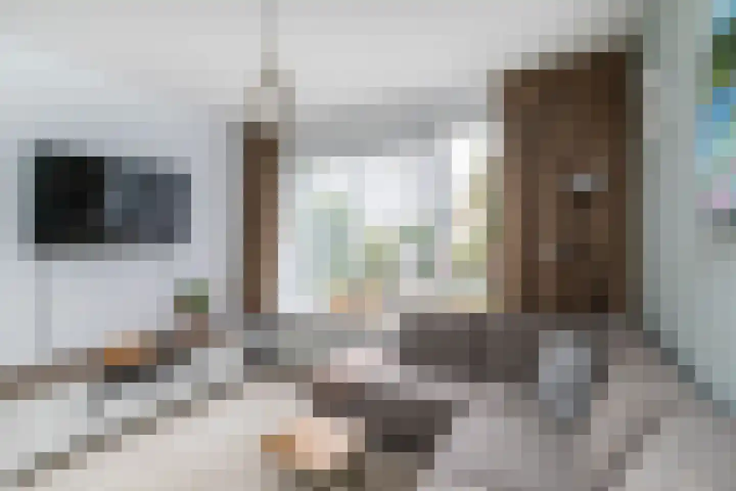 Zoutmanstraat 25 Maasdijk thumbnail 10