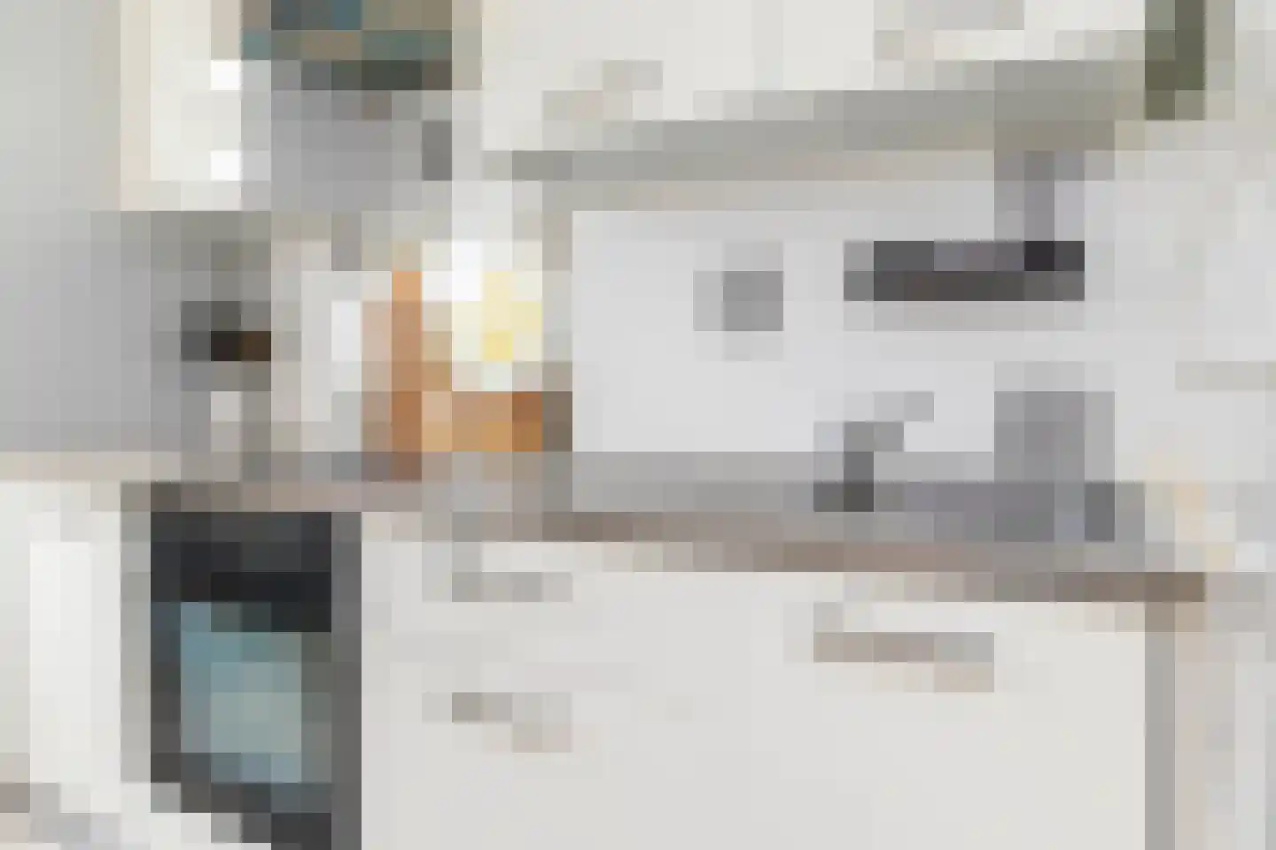 Zoutmanstraat 25 Maasdijk thumbnail 18