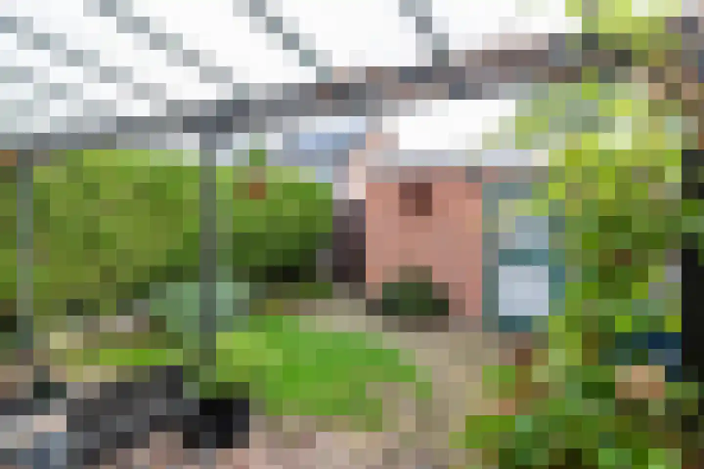 Zoutmanstraat 25 Maasdijk thumbnail 21