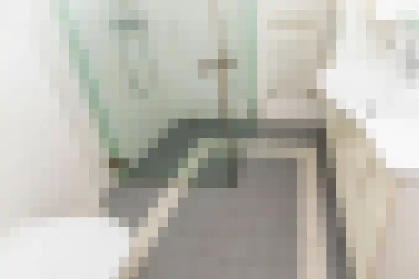 Zoutmanstraat 25 Maasdijk thumbnail 33