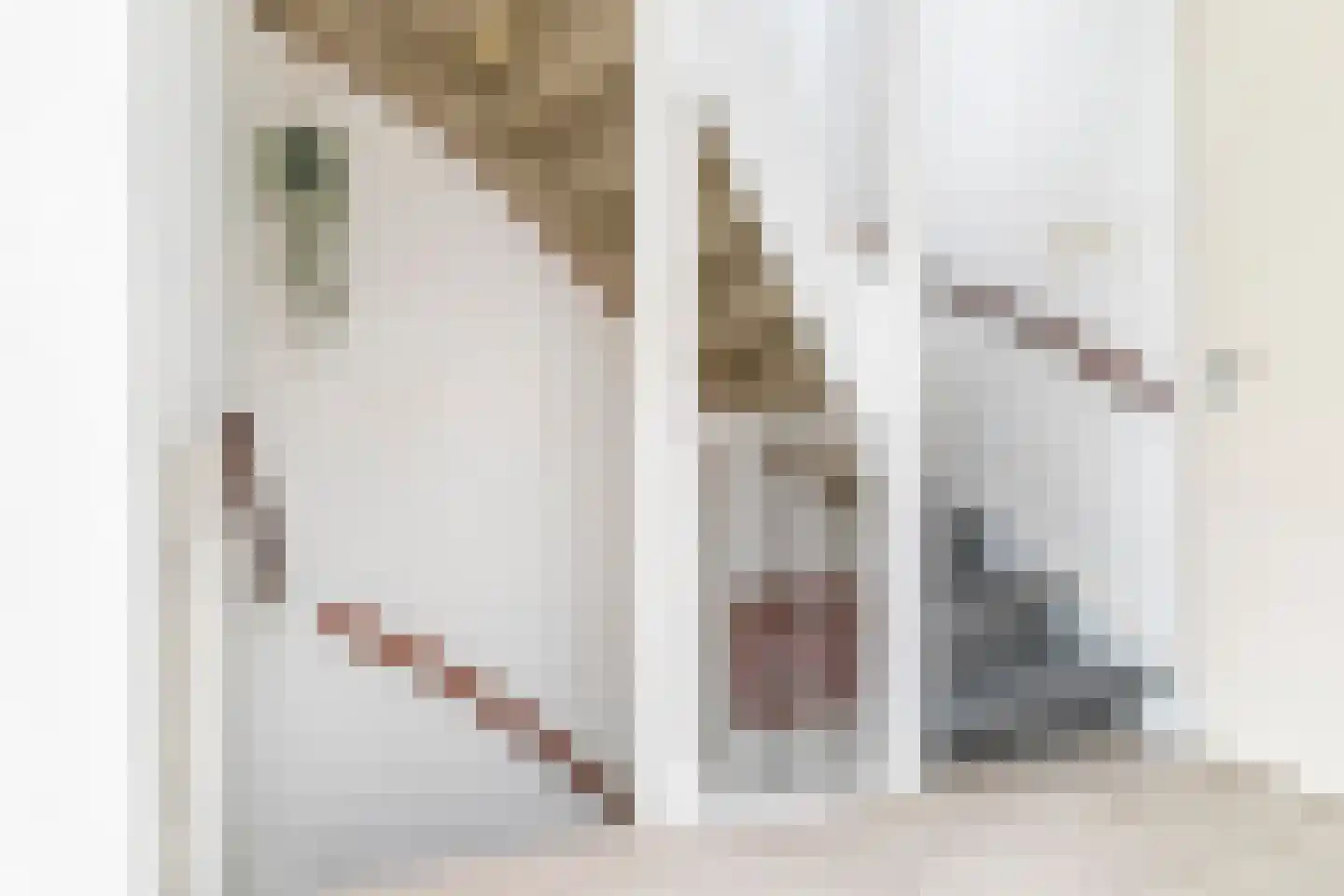 Zoutmanstraat 25 Maasdijk thumbnail 37