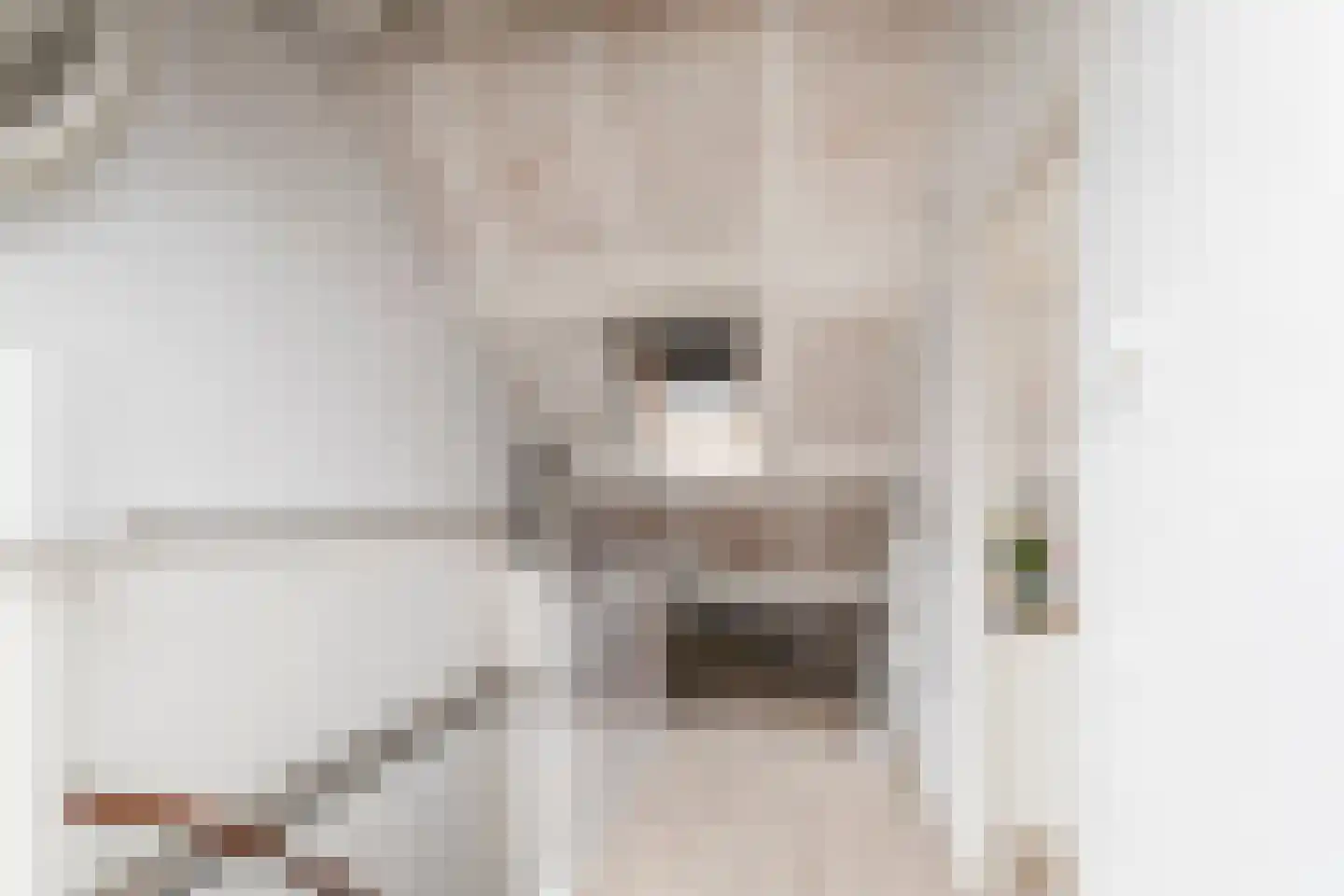 Zoutmanstraat 25 Maasdijk thumbnail 42